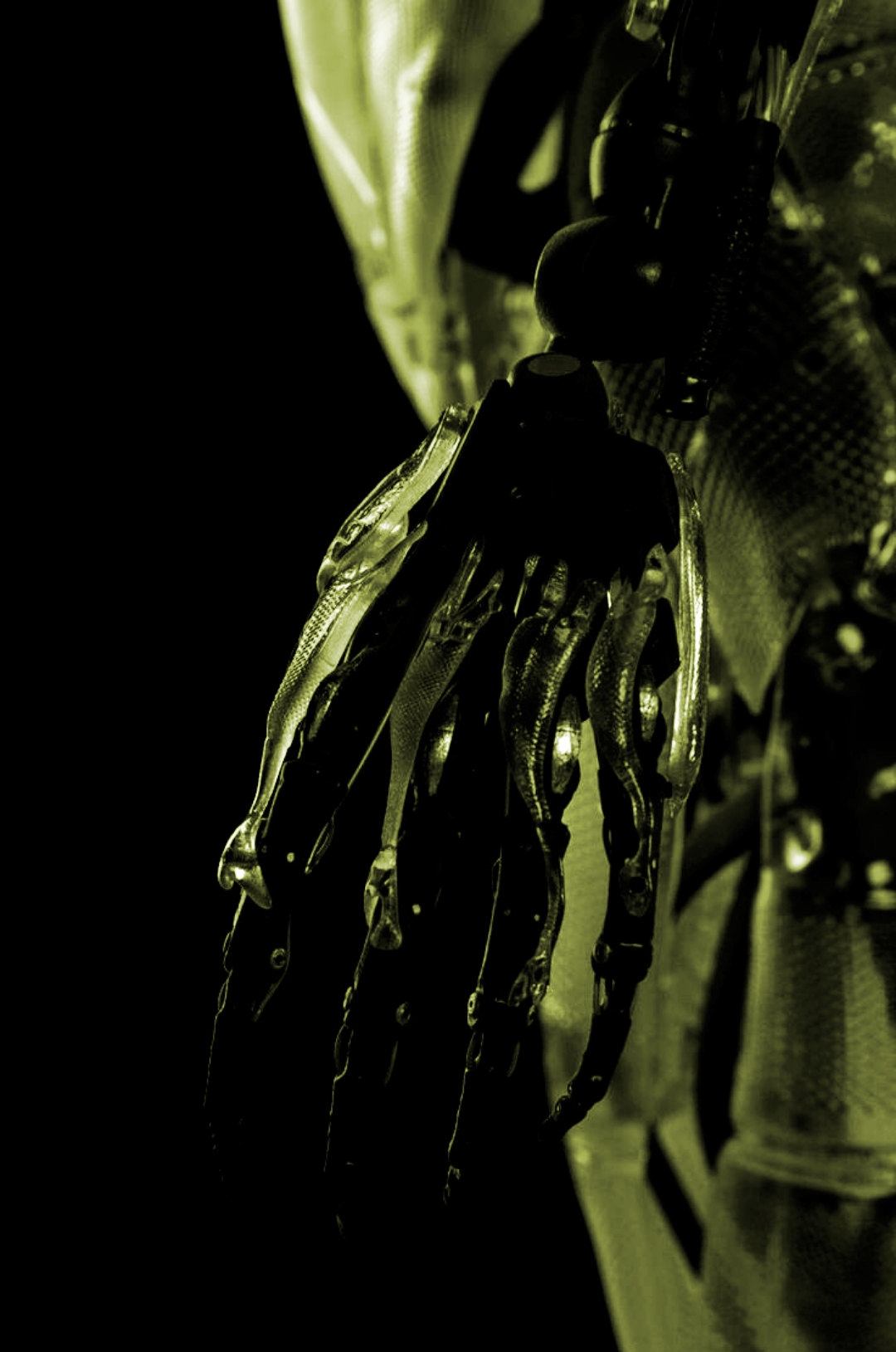 End-to-End Project Management